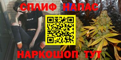 стаф Бугуруслан
