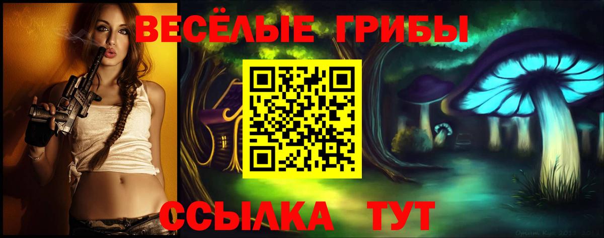 МЕФ  Alpha-PVP СК кристаллы  Озёры  МДМА  Вход с VPN  ЭКСТАЗИ  Канабис  Cocaine  Меф МЯУ МЯУ кристаллы  ГАШ 